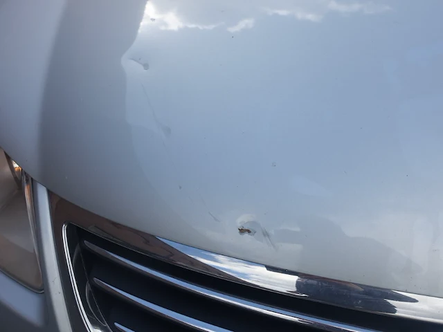 Volkswagen eos - afbeelding 17 van  24