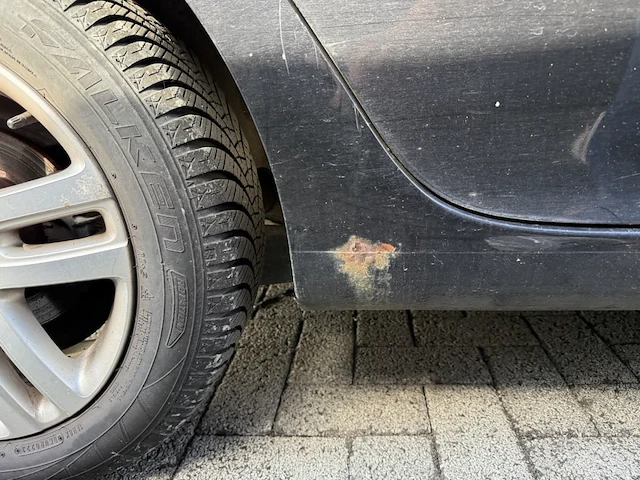 Volkswagen golf,2006 - afbeelding 21 van  30