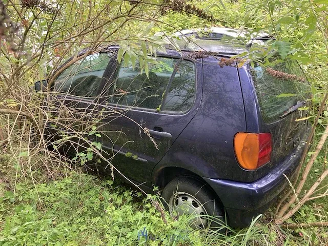 Volkswagen polo - afbeelding 1 van  5