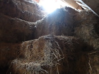 Volledige inhoud hooizolder - afbeelding 2 van  5