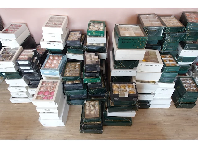 Volledige inhoud kamer - afbeelding 8 van  14
