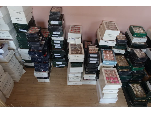 Volledige inhoud kamer - afbeelding 9 van  14