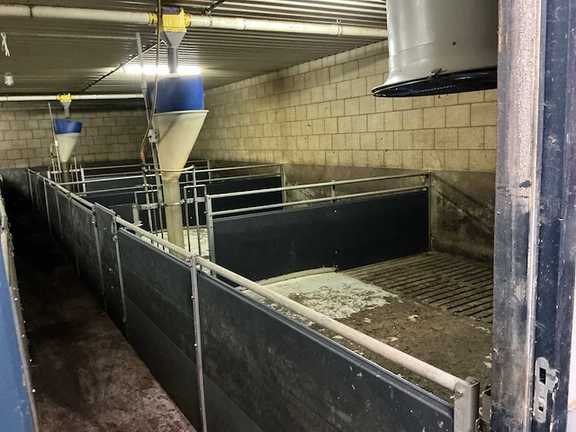 Volledige stalinrichting vleesvarkens - afbeelding 1 van  12