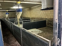 Volledige stalinrichting vleesvarkens - afbeelding 1 van  12