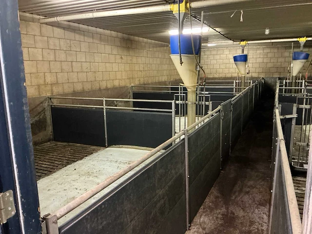 Volledige stalinrichting vleesvarkens - afbeelding 5 van  12
