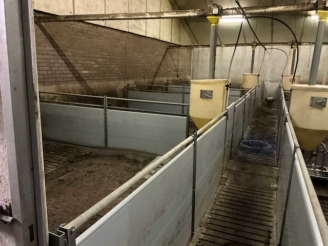 Volledige stalinrichting vleesvarkens - afbeelding 4 van  11