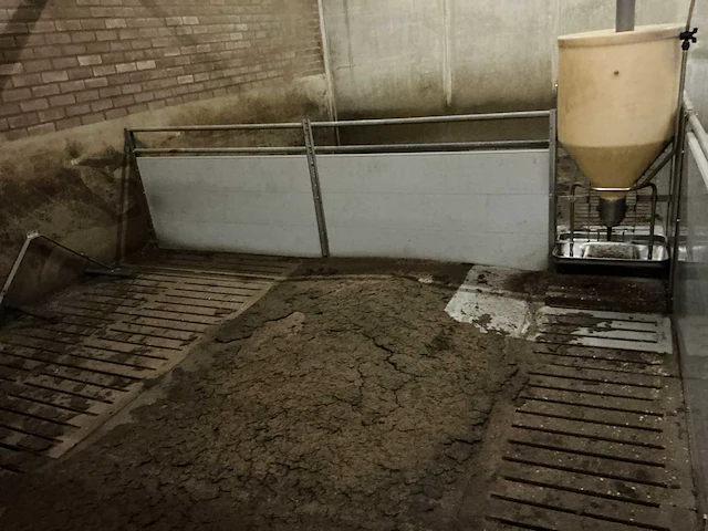 Volledige stalinrichting vleesvarkens - afbeelding 6 van  11