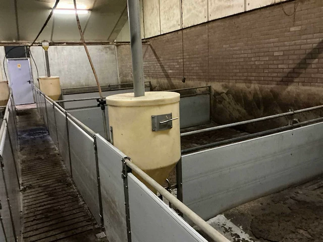 Volledige stalinrichting vleesvarkens - afbeelding 9 van  11