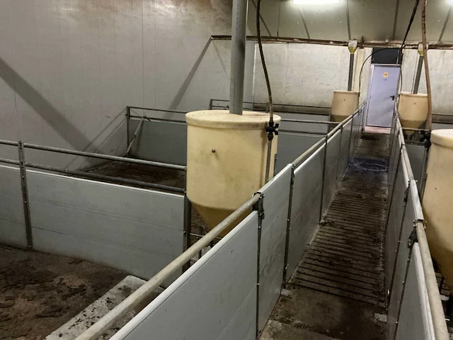 Volledige stalinrichting vleesvarkens - afbeelding 10 van  11