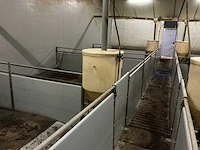 Volledige stalinrichting vleesvarkens - afbeelding 10 van  11