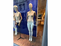Volledige winkelinrichting en uitrusting terre blue antwerpen - afbeelding 60 van  124