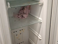 Vrieskast zanussi - afbeelding 3 van  4