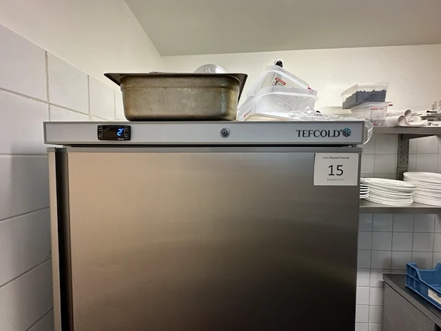 Vriezer 1drs tefcold model ur600s - afbeelding 2 van  4
