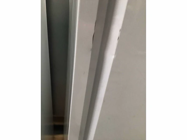 Vriezer kastmodel - afbeelding 6 van  8