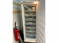 Vriezer miele + 2x koelkast - afbeelding 6 van  11