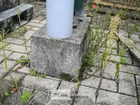 Vuilnisbak met hondenzakjes - afbeelding 4 van  7
