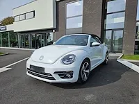 Vw beetle