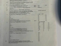 Vw caddy 2013 - afbeelding 24 van  38