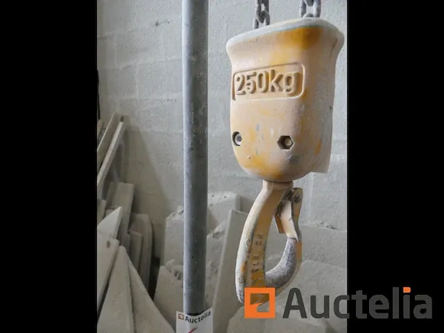 Wand hijsen zwenkraan 250 kg demag model onleesbaar - afbeelding 1 van  4