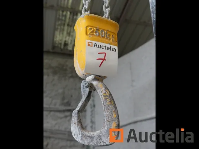 Wand hijsen zwenkraan 250 kg demag model onleesbaar - afbeelding 5 van  5