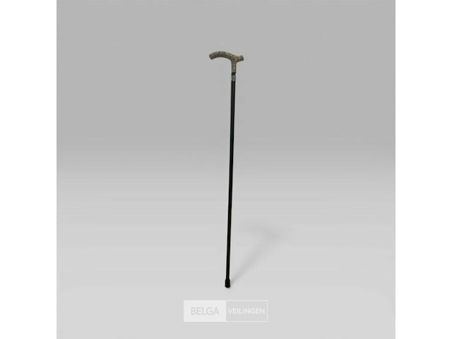 Wandelstok patrick hernandez - afbeelding 1 van  5