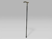 Wandelstok patrick hernandez