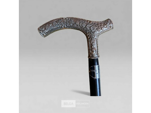 Wandelstok patrick hernandez - afbeelding 3 van  5