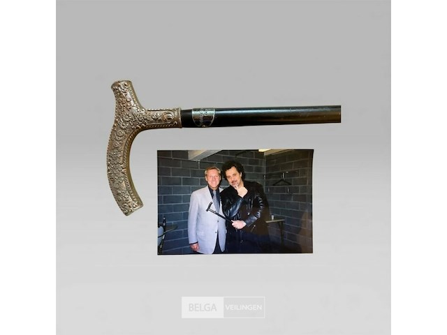 Wandelstok patrick hernandez - afbeelding 5 van  5