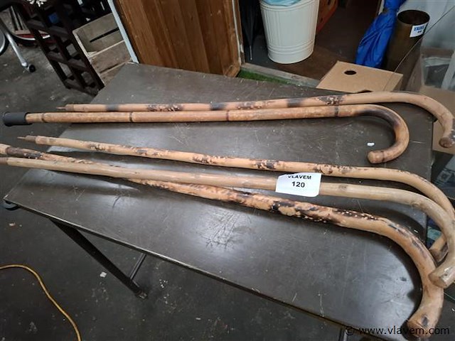 Wandelstok - afbeelding 1 van  1