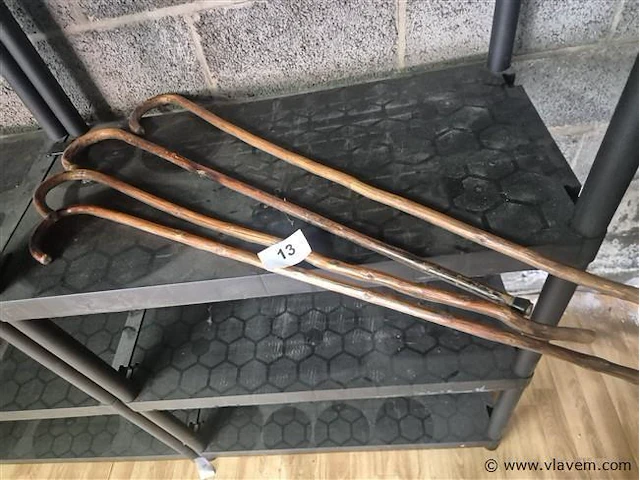 Wandelstokken 4 stuks - afbeelding 1 van  3