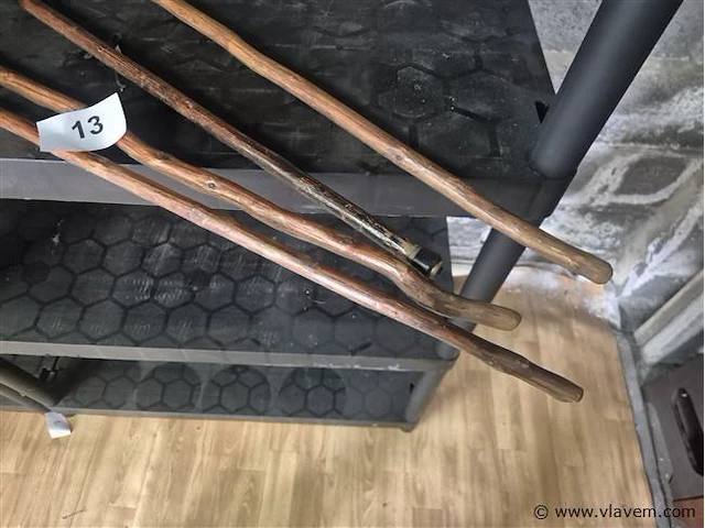 Wandelstokken 4 stuks - afbeelding 3 van  3