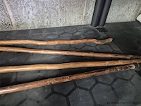 Wandelstokken - afbeelding 2 van  2