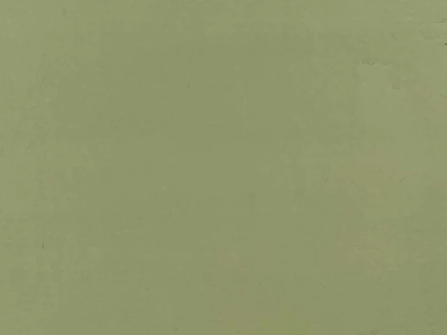 Wandtegel 21,5m2 rak ceramics ibiza green 20x50cm - afbeelding 1 van  2