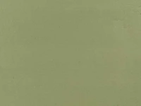 Wandtegel 21,5m2 rak ceramics ibiza green 20x50cm - afbeelding 1 van  2
