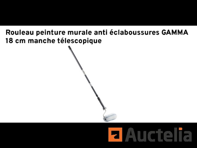 Wandverfroller met telescopisch handvat - afbeelding 2 van  5