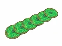 Warhammer 40k toxic - zone marker - afbeelding 2 van  2
