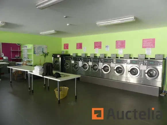 Wasmachines, professionele drogers, strijk tafel