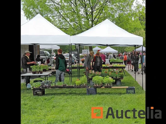 Waterdicht tuinprieel 3 x 3 m pop-up tuintent - afbeelding 2 van  7