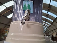 Waterdispenser - afbeelding 1 van  1