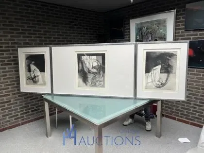 Wegens voorlopig bewind l.b. - diverse kunstwerken, grafiek, bronzen beelden waaronder h.minnebo en h.jacubowitz, design lamp martinelli luce te oud-turnhout