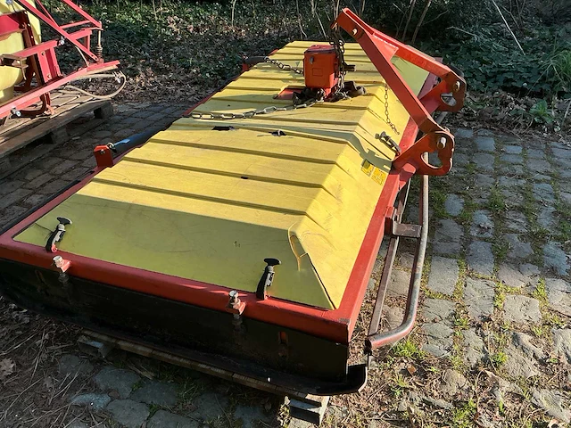 Weidebloter - afbeelding 2 van  6