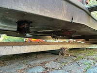 Weidebloter - afbeelding 5 van  6