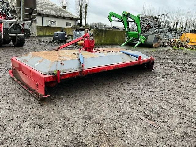 Weideblotermaaier - afbeelding 2 van  7