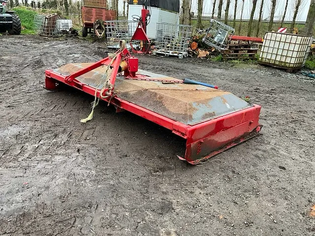 Weideblotermaaier - afbeelding 6 van  7