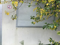 Werfcontainer - afbeelding 2 van  8