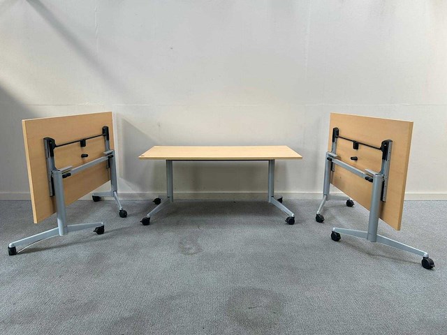 Werndl - verrijdbare klaptafel - tafel - afbeelding 1 van  5