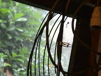 Werphengel - afbeelding 3 van  3