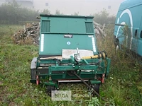 Wessex grasopraper - afbeelding 3 van  10