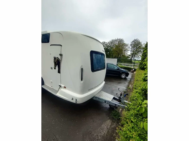 Westfalia 120 081 light paardentrailer - afbeelding 17 van  20