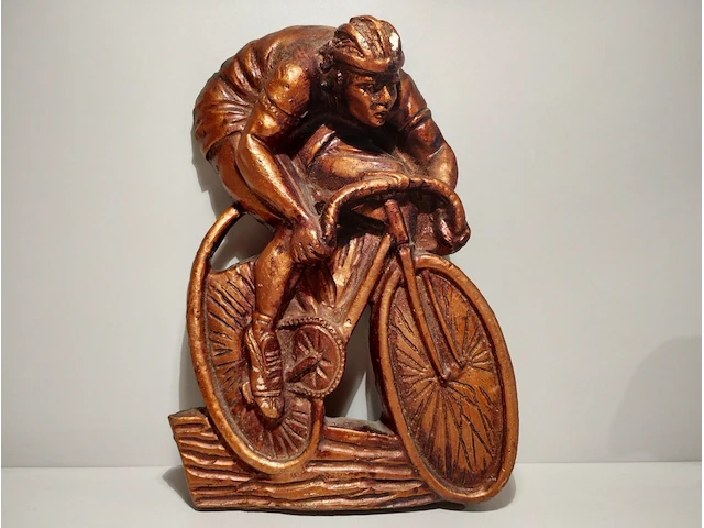 Wielertroffee - afbeelding 1 van  1
